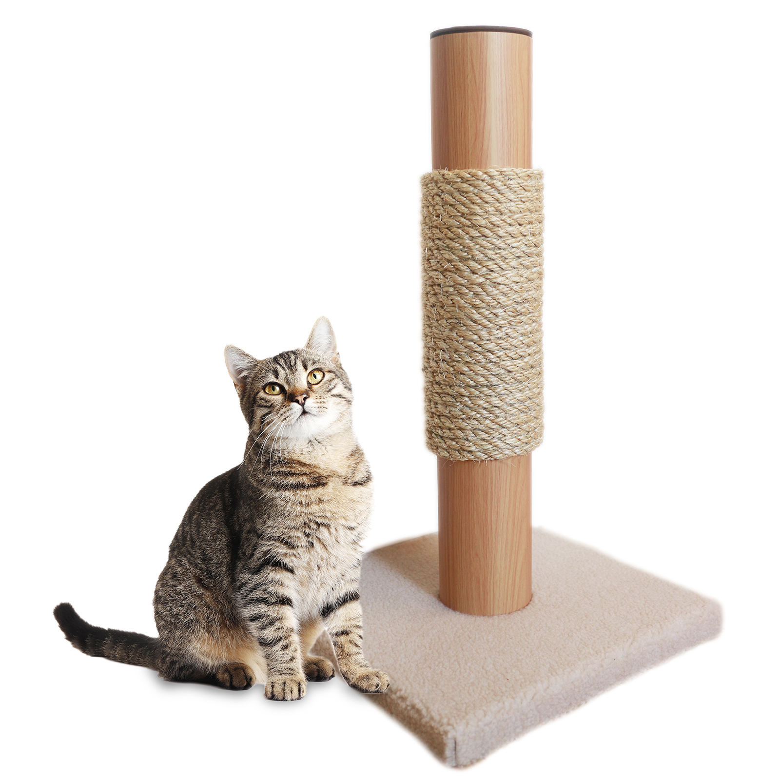 アイボリー中央タイプ