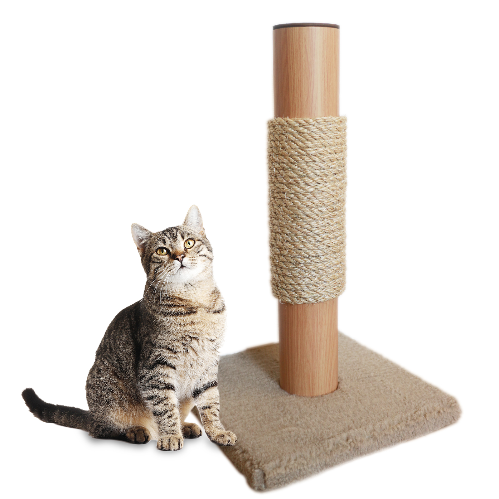 モカ中央タイプ