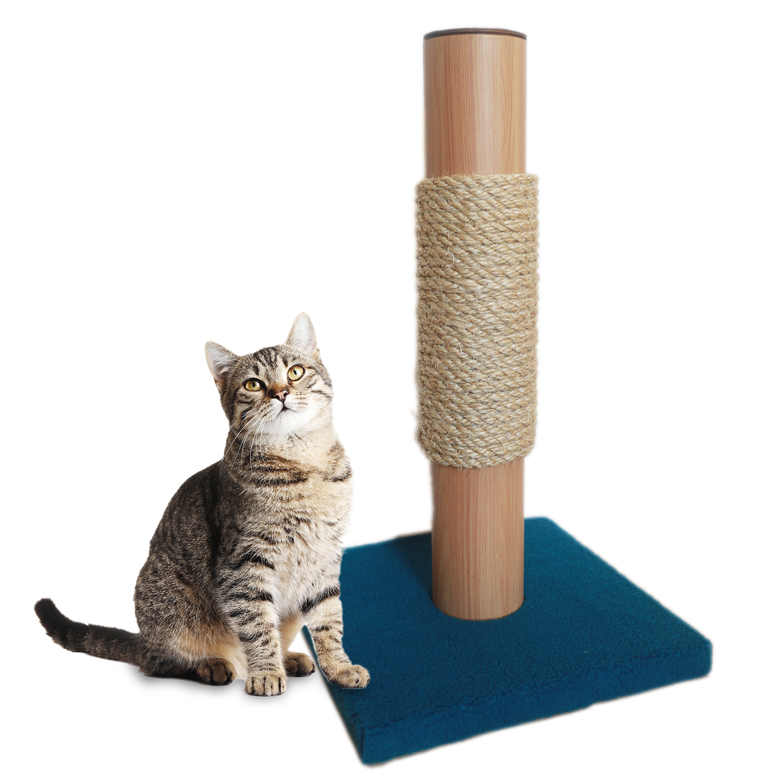 ネイビー中央タイプ